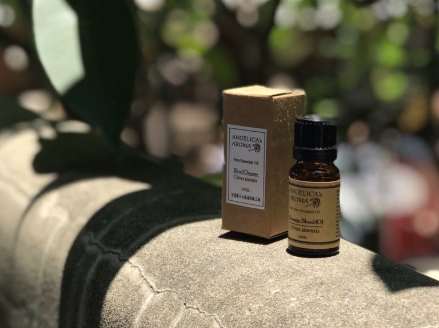 白玉蘭葉精油功效