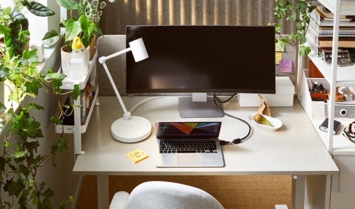 辦公室綠化植物 辦公室綠化植物