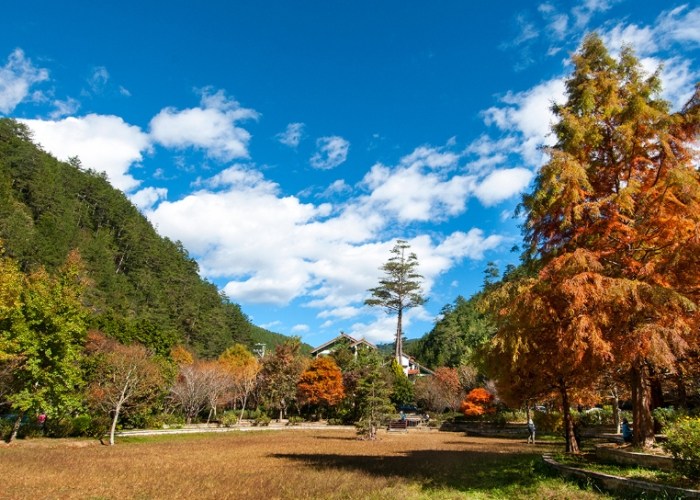 武陵農場住宿 武陵農場住宿