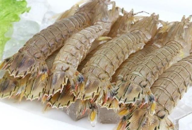 皮皮蝦食譜 皮皮蝦食譜