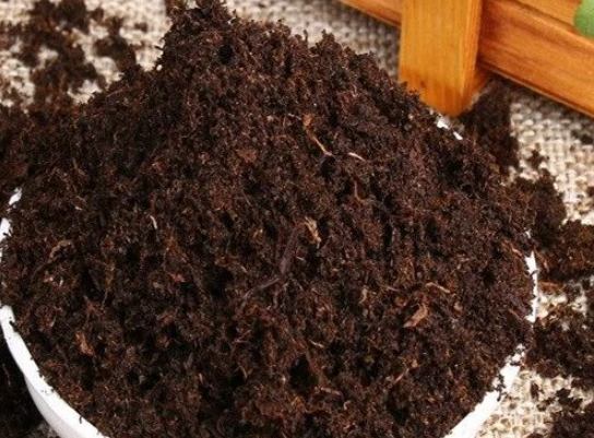 土壤發霉處理 土壤發霉處理