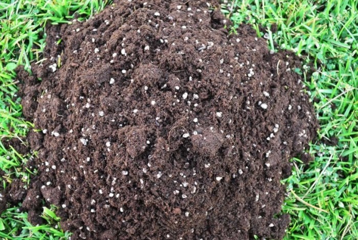 白色顆粒作用 白色顆粒作用