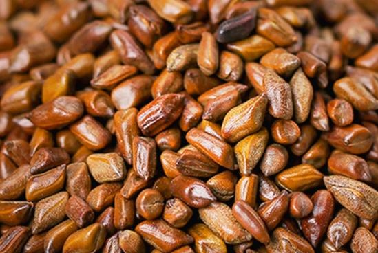 甘草茶副作用 甘草茶副作用