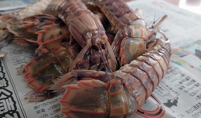 科幻角色解析 科幻角色解析