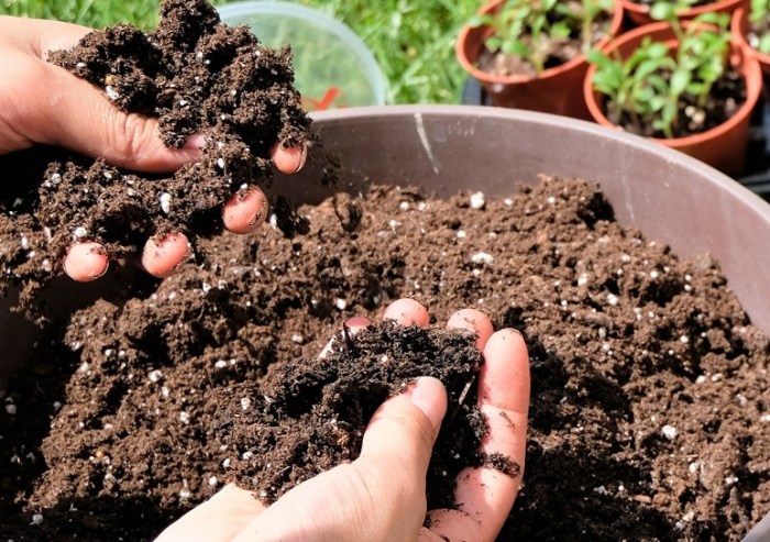 培養土成分 培養土成分