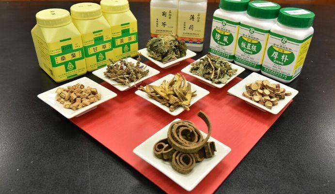 科學中藥六君子湯 科學中藥六君子湯