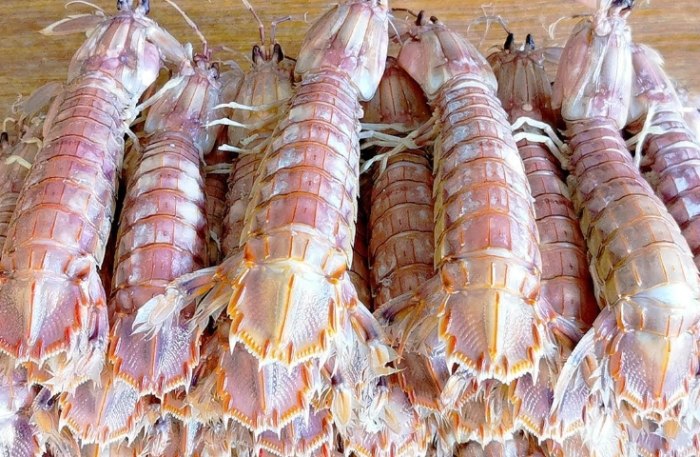 皮皮蝦處理技巧