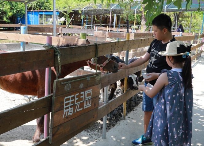 台南動物園農場 動物互動