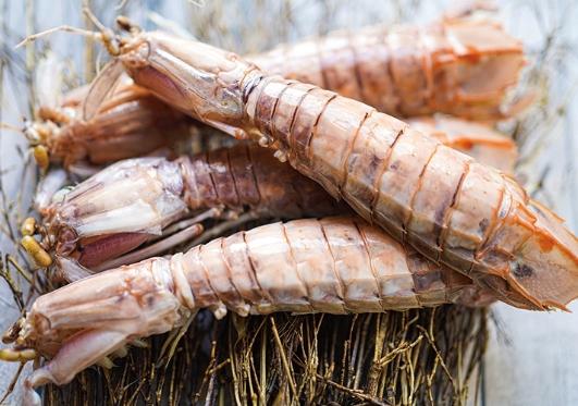 皮皮蝦食譜 皮皮蝦食譜