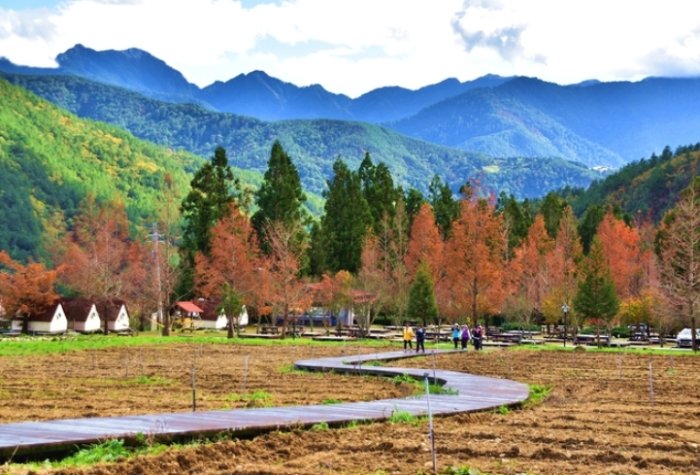 武陵農場兩天一夜 武陵農場兩天一夜