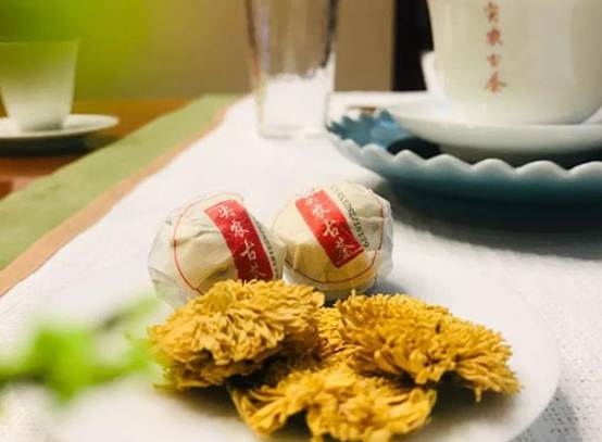 普洱菊花茶飲用方法 普洱菊花茶飲用方法