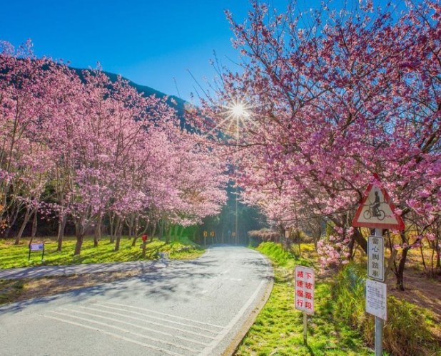 武陵農場行程 武陵農場行程