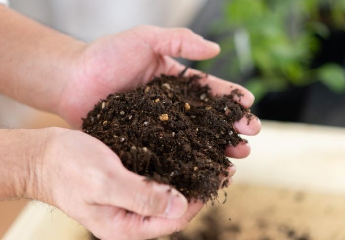 白色顆粒作用 白色顆粒作用