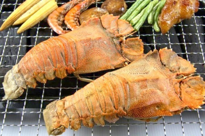 外星生物介紹 外星生物介紹