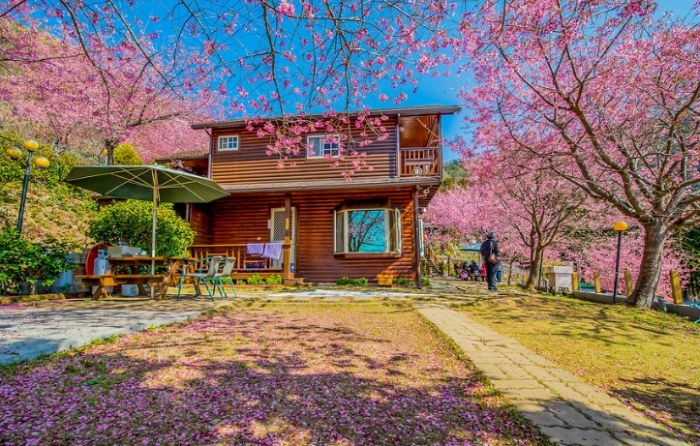 拉拉山星空帳 拉拉山星空帳