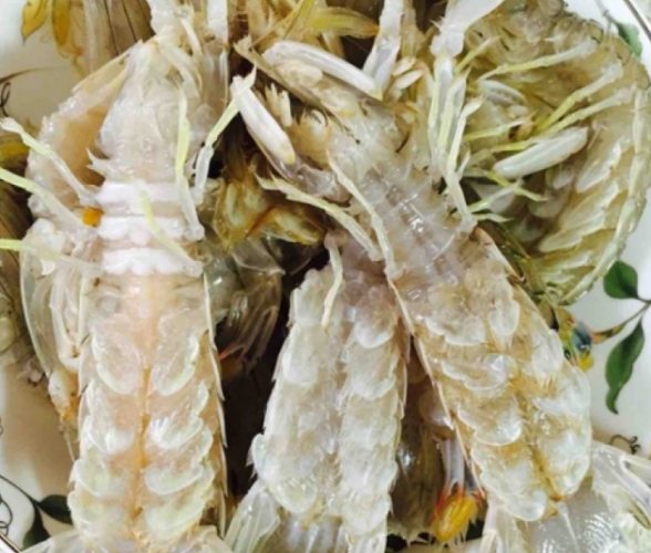 皮皮蝦瀨尿蝦區別