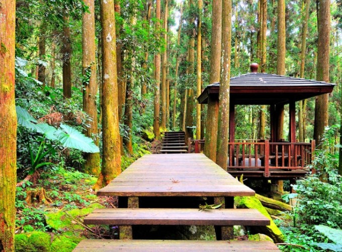 阿里山自駕遊 阿里山自駕遊