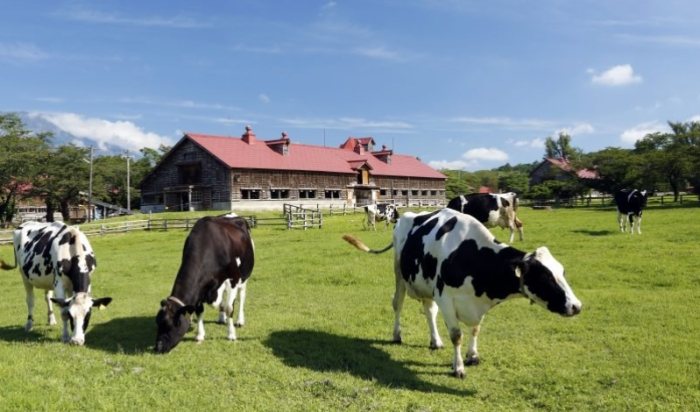 拉拉山免搭帳營地