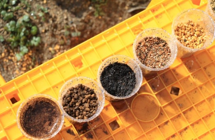 白色顆粒作用 白色顆粒作用