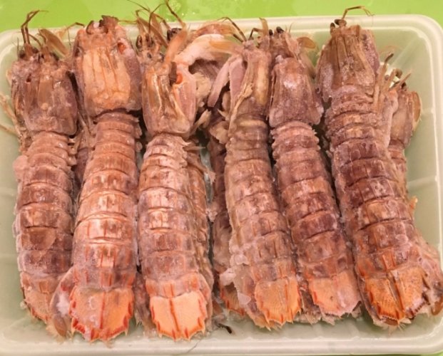 科幻角色解析 科幻角色解析