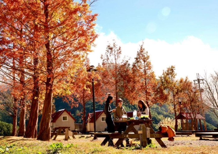 武陵農場行程 武陵農場行程