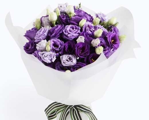 送朋友的花 送朋友的花