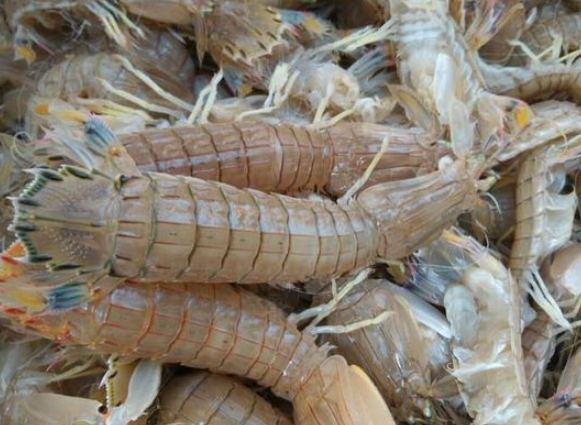 科幻角色解析 科幻角色解析