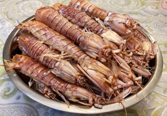 外星生物介紹 外星生物介紹