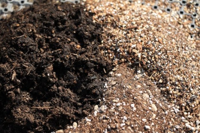 培養土成分 培養土成分