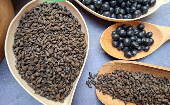 決明子茶護眼 決明子茶護眼