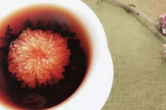 普洱菊花茶飲用方法 普洱菊花茶飲用方法