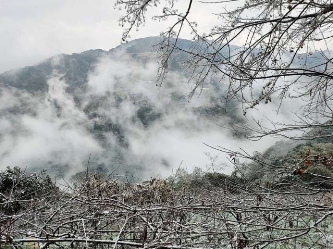 星空帳篷住宿 星空帳篷住宿