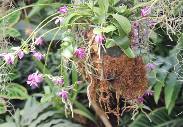 火山石優點 火山石優點