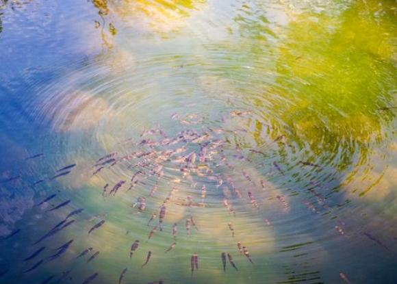 夢境象征意義 夢境象征意義