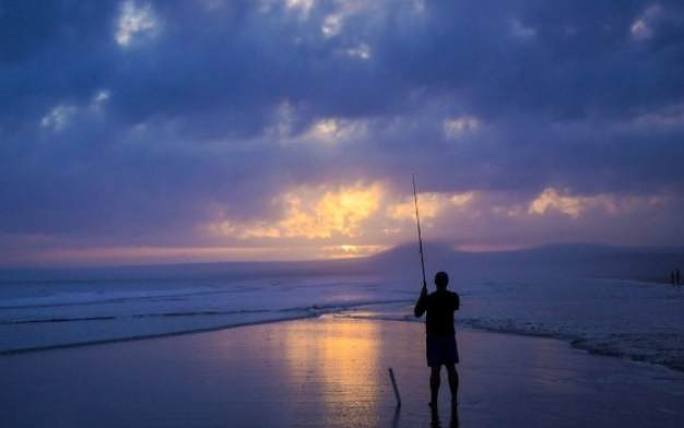小魚夢境解析 小魚夢境解析