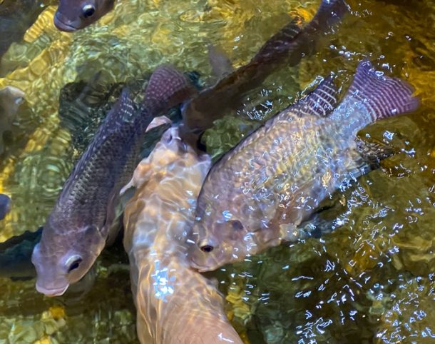 夢境象征意義 夢境象征意義