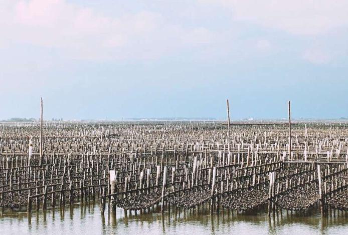 台灣釣魚景點 台灣釣魚景點