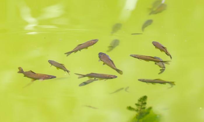 夢境象征意義 夢境象征意義