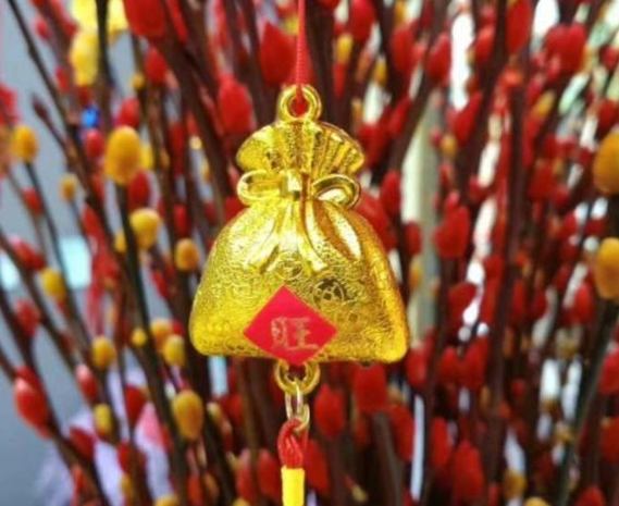 銀柳水培技巧 銀柳水培技巧