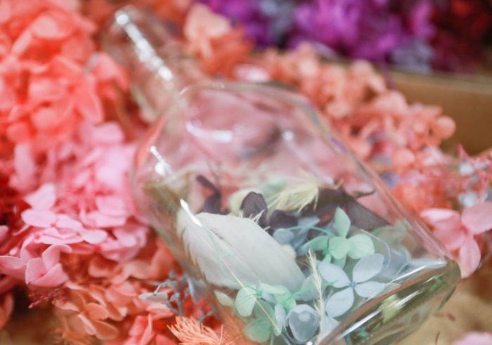 銀柳修剪方法 銀柳修剪方法