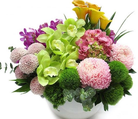 花店常見的花 花店常見的花