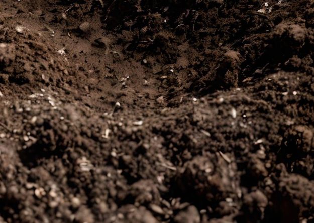 土壤發霉處理 土壤發霉處理