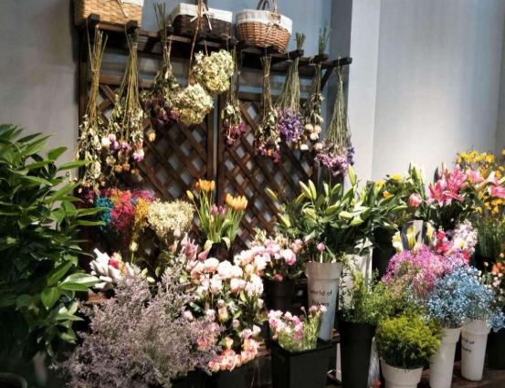 花店花卉種類 花店花卉種類