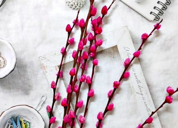 銀柳處理方法 銀柳處理方法