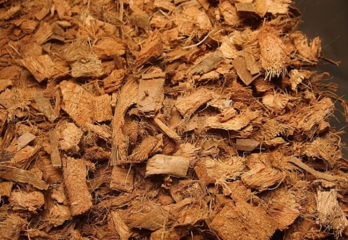 蘭花栽培椰塊使用 蘭花栽培椰塊使用