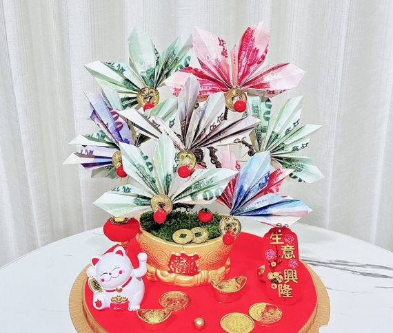 有錢樹照顧 有錢樹照顧