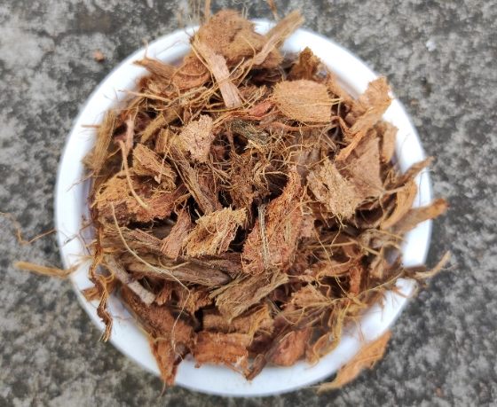 蘭花栽培椰塊使用 蘭花栽培椰塊使用