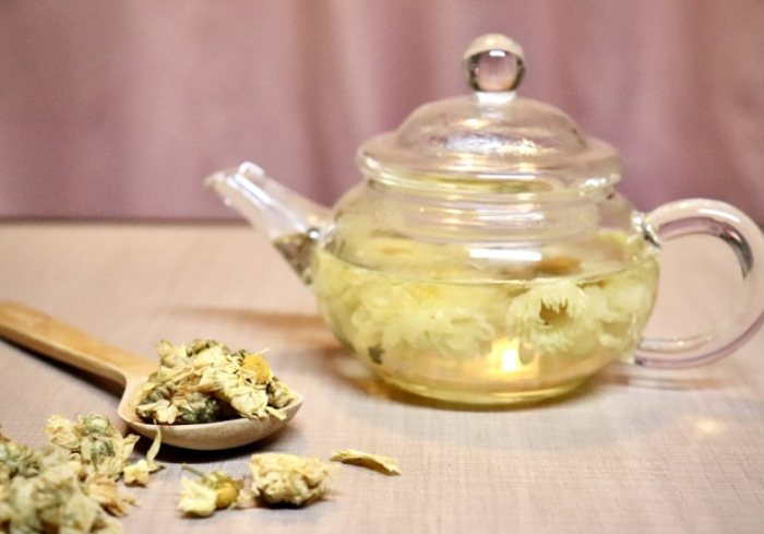 藥物與菊花茶交互作用