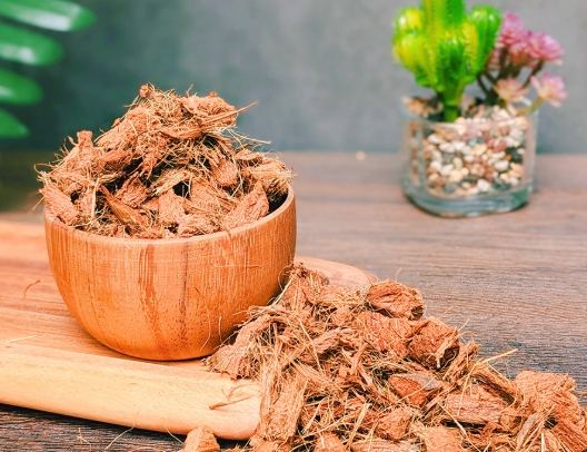 蘭花栽培椰塊使用 蘭花栽培椰塊使用