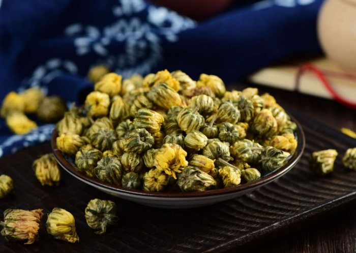 胎菊禁忌人群 胎菊禁忌人群